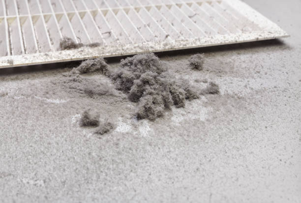 Best Duct Cleaning Specialists  in Deerfield, WI