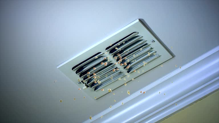 HVAC Maintenance and Cleaning in WI