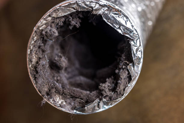 Best Air Vent Cleaning Services  in Deerfield, WI