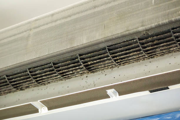 Best Residential Air Duct Cleaning  in Deerfield, WI